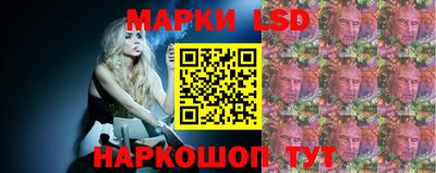 spice Моздок