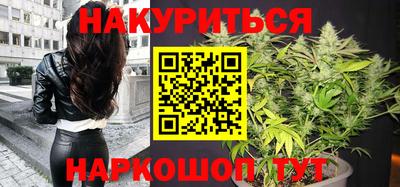 гидра Можга