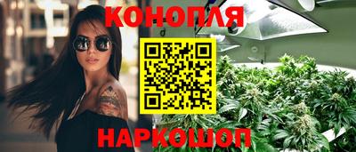 гидра Можга
