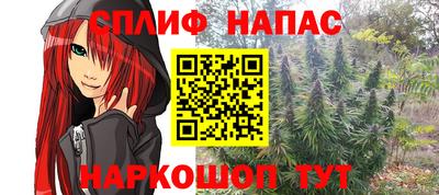 гидра Можга