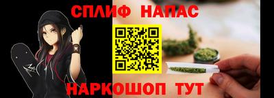 гидра Можга