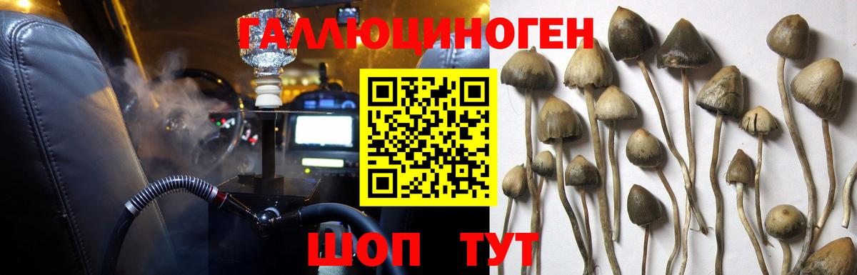 закладка  Вход с VPN  Тихвин  Галлюциногенные грибы Cubensis 